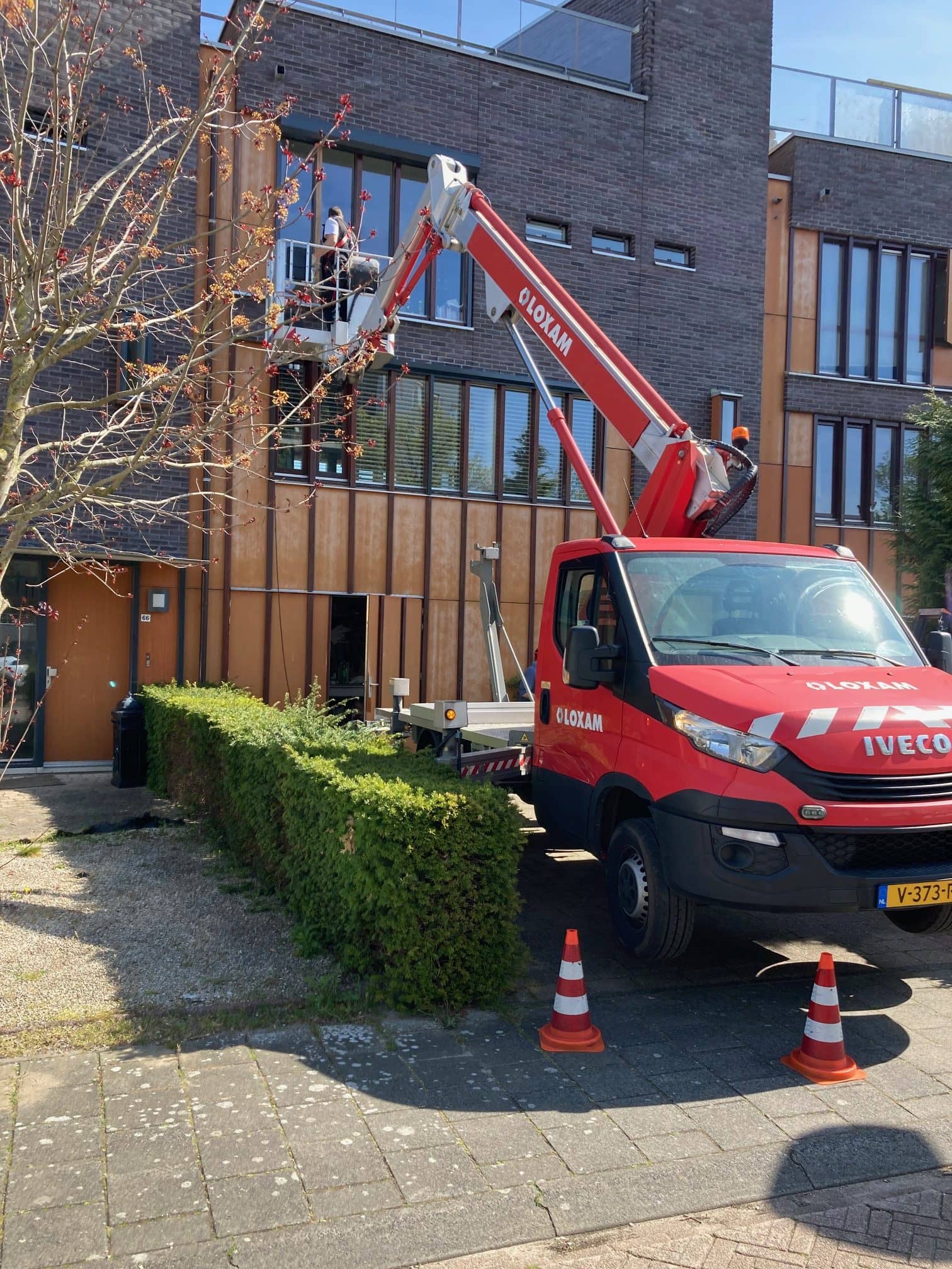 schilderwerk deuren — professionele afwerking