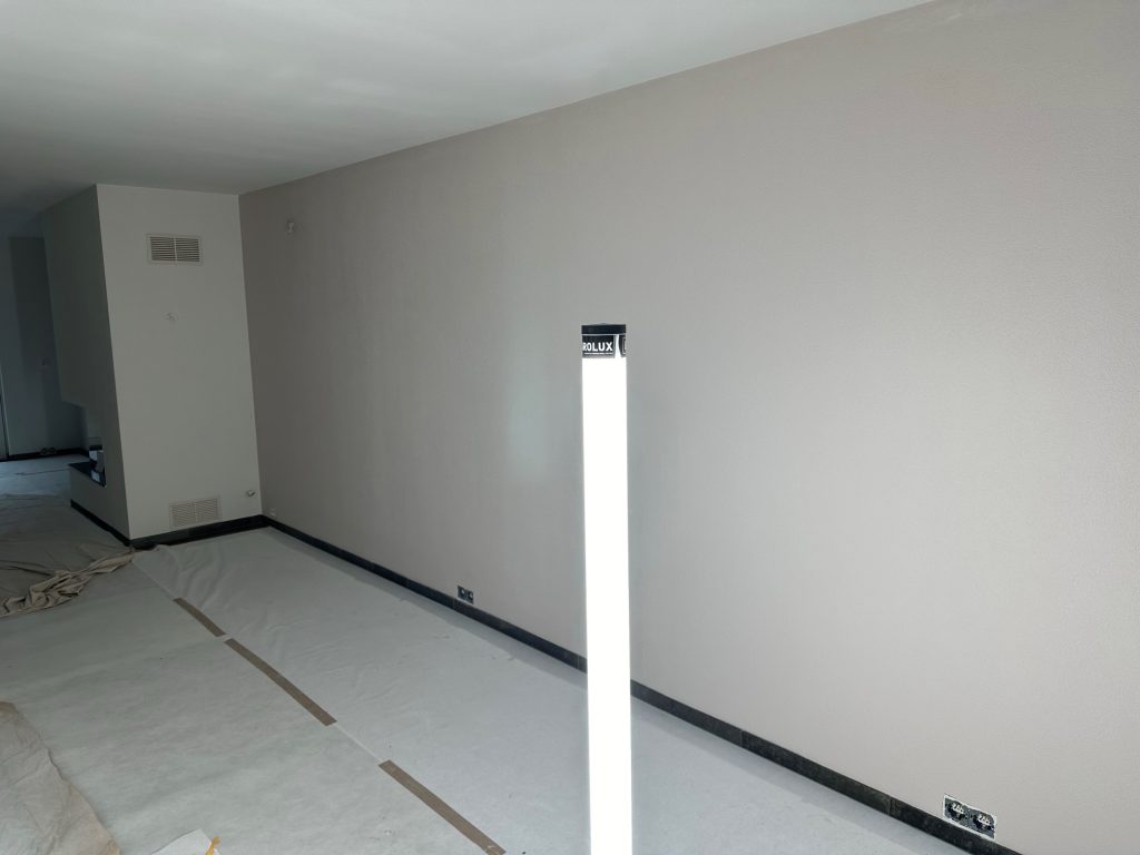 schilderwerk deuren — professionele afwerking