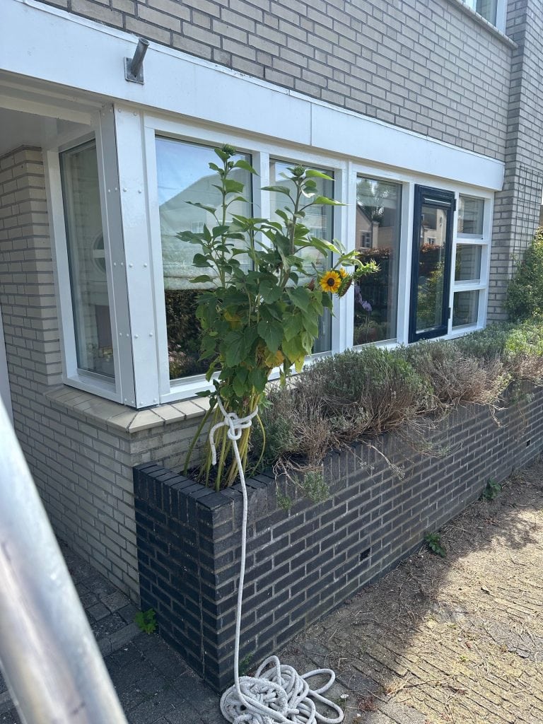 Houtrot herstel aan de kozijnen van een woning in Almere Noorderplassen